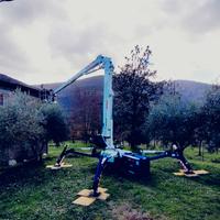 Piattaforma aerea Cela DT CRAWLER 28