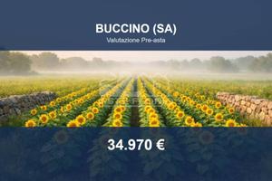 Immobile in asta di 38056 m² a Buccino