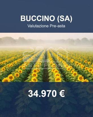 Immobile in asta di 38056 m² a Buccino