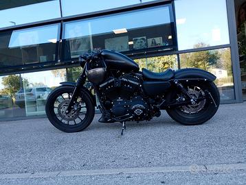 Harley Davidson 883 iron