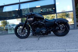 Harley Davidson 883 iron