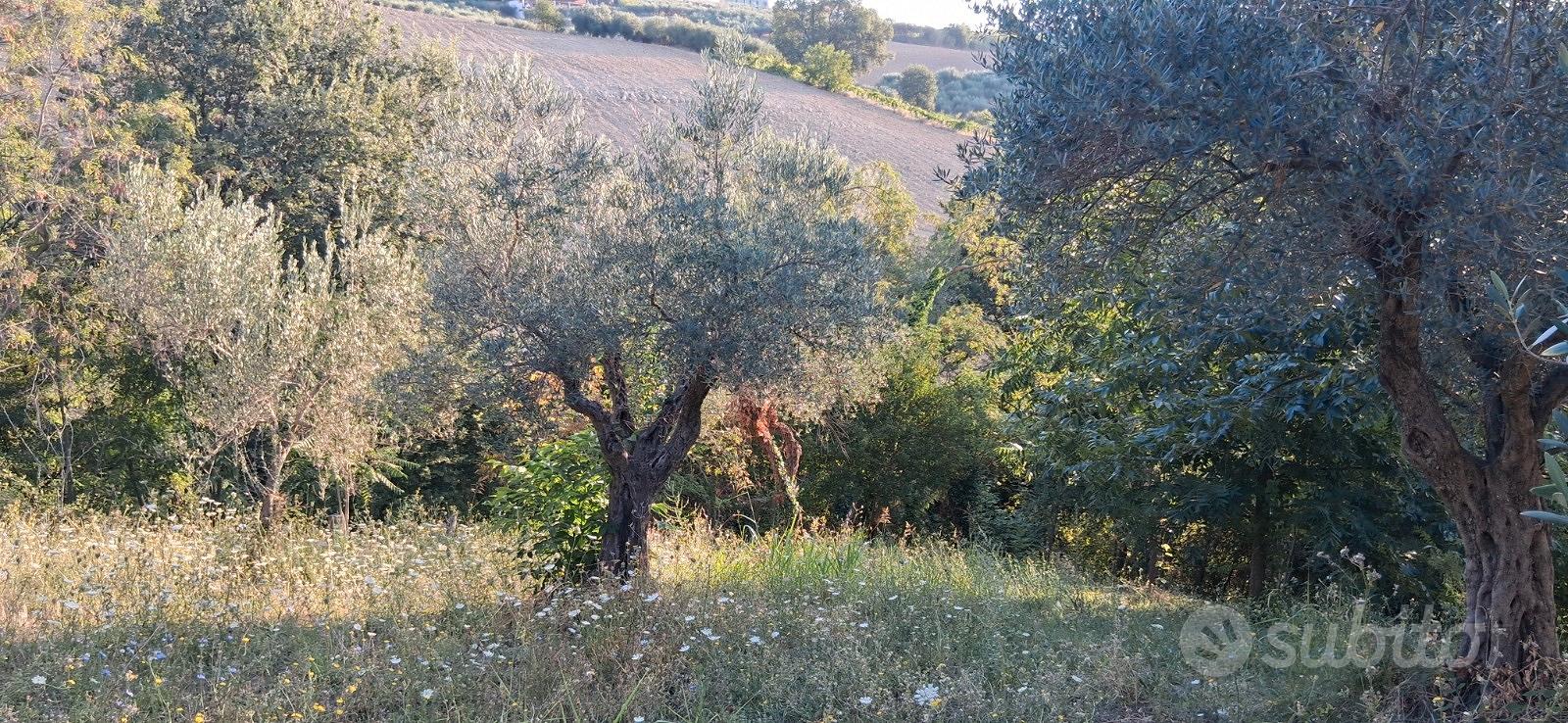 Il terreno per la tua nuova villetta nel cuore del - Altro