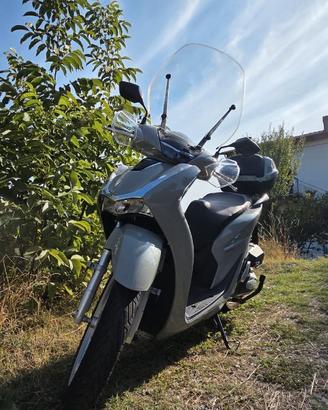 Sh 150 2023 unico proprietario