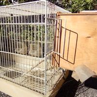 GABBIA UCCELLI PLURI-ACCESSORIATA