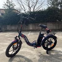 Bicicletta elettrica Fafrees F20