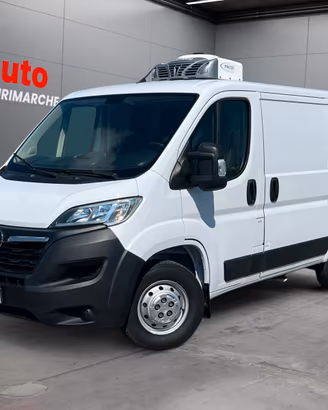 Opel Movano L1 H1 frigo HDI RETE STRADA