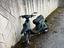 Immagine 1