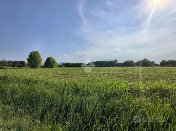 TER. AGRICOLO A SACCOLONGO