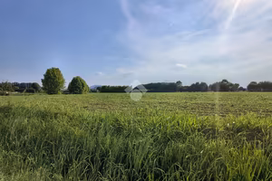 TER. AGRICOLO A SACCOLONGO