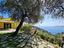 Immagine 8