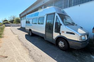 Minibus 20 posti Iveco