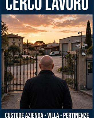 Autista di direzione_spostamenti top management