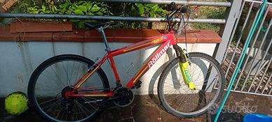 Bicicletta per ragazzo