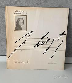 Raccolta vinili I GRANDI MUSICISTI