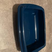 Sabbierà aperta per gatti