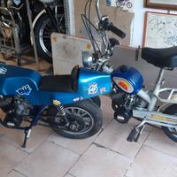 MINIOTO MORINI FRANCO 