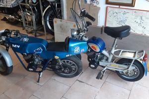 MINIOTO MORINI FRANCO 