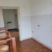 Appartamento con terreno e bosco