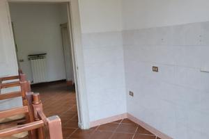 Appartamento con terreno e bosco