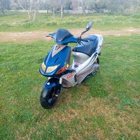 smembro derbi predator 50