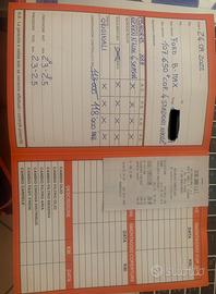 GOMME AUTO 4 STAGIONI FORD  B MAX 195/60R15 88H