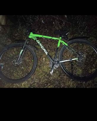 Bici Brera Uomo