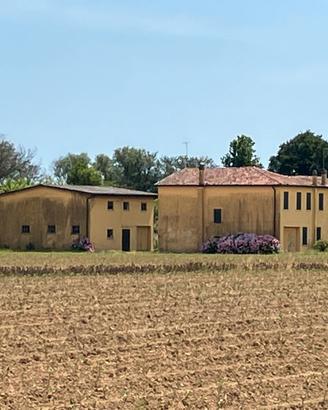 Vendita casa da ristrutturare e annesso