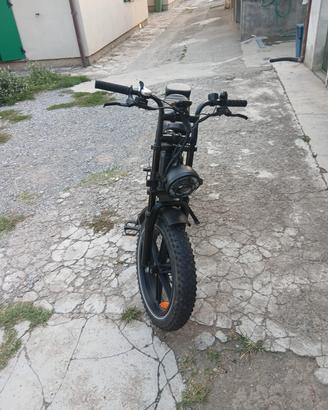 bicicletta elettrica 