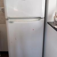 FRIGO INDESIT