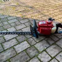 Tagliasiepi Professionale Shindawa.