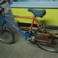 Mountain bike Atala