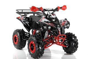 Mini Quad Sportrax SP 125cc