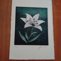 FERNANDO GRANDI ACQUAFORTE