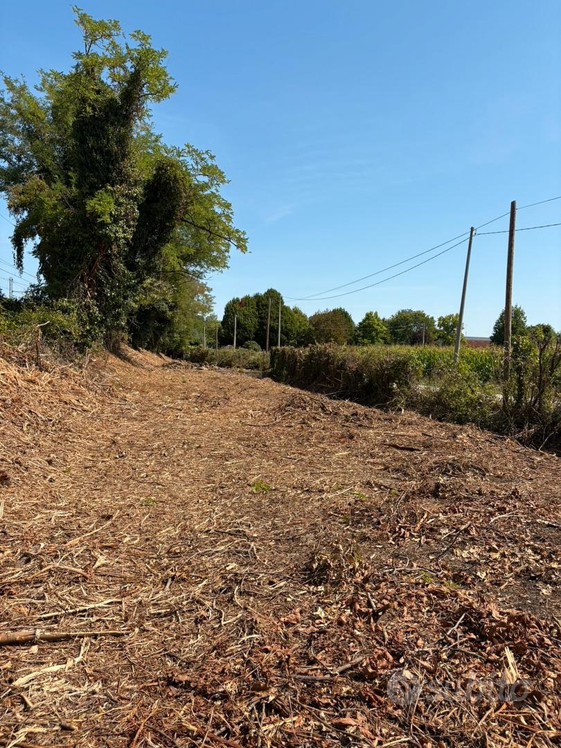 Terreno agricolo coltivabile - Martellago (Ve) - Vista 5