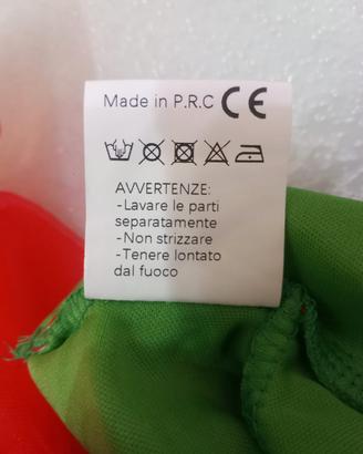 vestito carnevale elfo