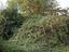 Immagine 11