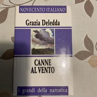 Libro “ Canne al vento”