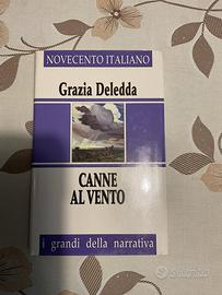 Libro “ Canne al vento”