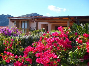 Villetta a schiera Olbia