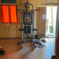 Easy Chin dip technogym