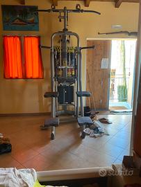 Easy Chin dip technogym