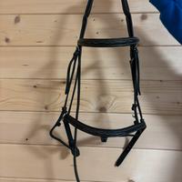 Articoli equitazione cavallo