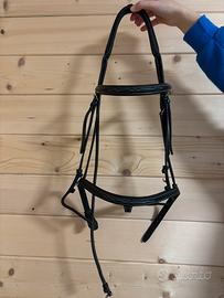 Articoli equitazione cavallo