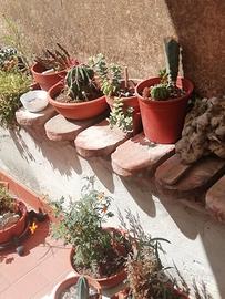 50 mattoni per aiuola da giardino