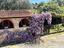 Immagine 18