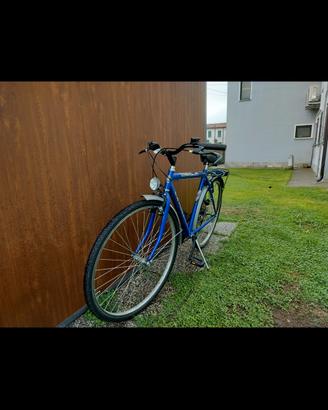 Bicicletta uomo 