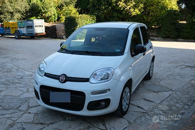 Panda Van Pop