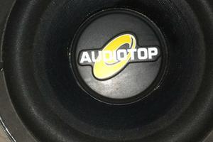Subwoofer da 20 25 32 38 AudioSystem AudioTop ciar