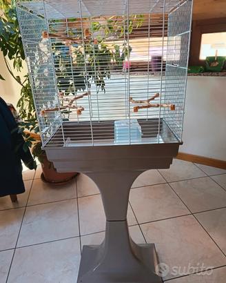 Gabbia per Pappagalli uccelli completa con rupte