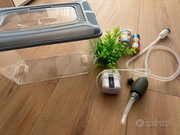 Kit acquario pesci rossi